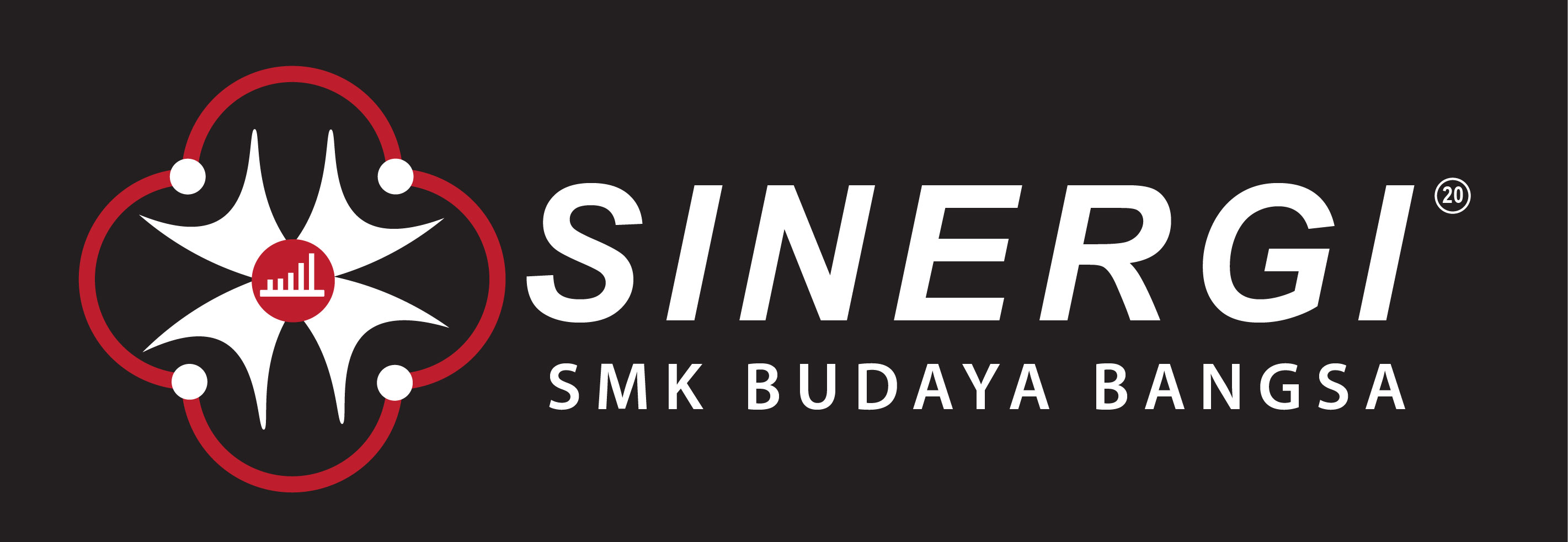 Sinergy